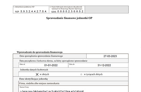 sprawozdanie